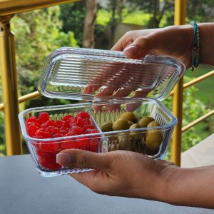 ظرف کره خوری دو خانه پاشا مدل frigo کد 96764